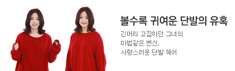 단발