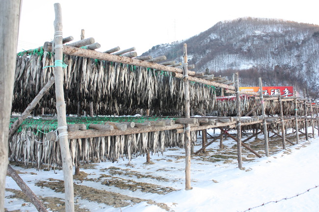추운날 더 맛있고 시원한 ~~북엇국